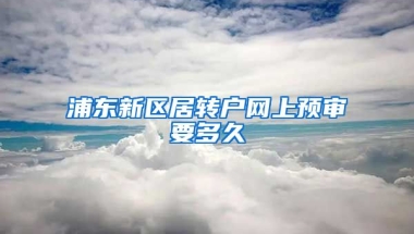 浦东新区居转户网上预审要多久