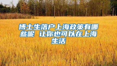 博士生落户上海政策有哪些呢 让你也可以在上海生活