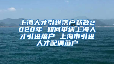 上海人才引进落户新政2020年 如何申请上海人才引进落户 上海市引进人才配偶落户