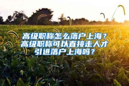 高级职称怎么落户上海？高级职称可以直接走人才引进落户上海吗？