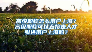 高级职称怎么落户上海？高级职称可以直接走人才引进落户上海吗？