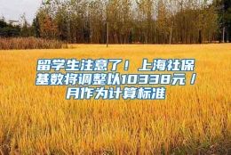 留学生注意了！上海社保基数将调整以10338元／月作为计算标准