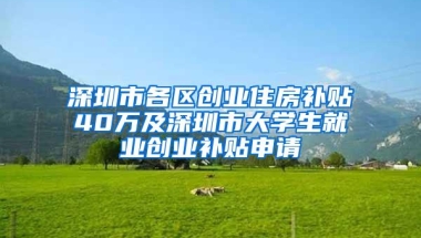 深圳市各区创业住房补贴40万及深圳市大学生就业创业补贴申请