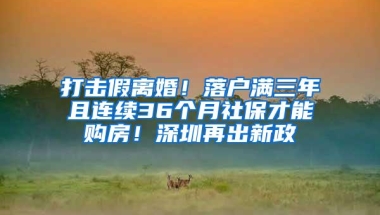 打击假离婚！落户满三年且连续36个月社保才能购房！深圳再出新政