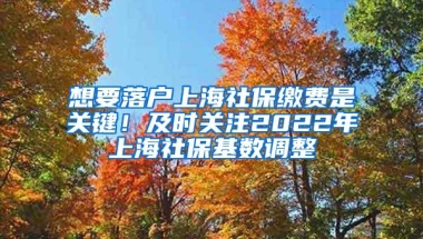 想要落户上海社保缴费是关键！及时关注2022年上海社保基数调整