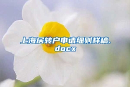 上海居转户申请细则样稿.docx