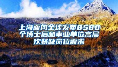 上海面向全球发布8580个博士后和事业单位高层次紧缺岗位需求