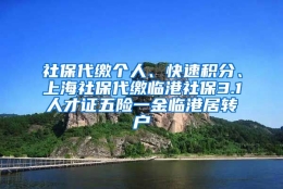 社保代缴个人、快速积分、上海社保代缴临港社保3.1人才证五险一金临港居转户