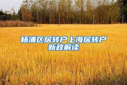 杨浦区居转户上海居转户新政解读