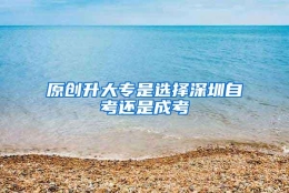 原创升大专是选择深圳自考还是成考