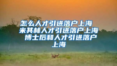 怎么人才引进落户上海 米其林人才引进落户上海 博士后和人才引进落户上海