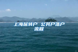 上海居转户 公共户落户流程