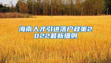 海南人才引进落户政策2022最新细则