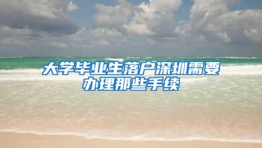 大学毕业生落户深圳需要办理那些手续