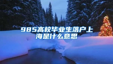 985高校毕业生落户上海是什么意思