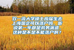 双一流大学硕士应届生去上海国企可以落户吗，听说第一年都是劳务派遣，这种是不是不能落户啊？