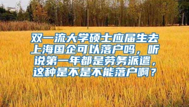 双一流大学硕士应届生去上海国企可以落户吗，听说第一年都是劳务派遣，这种是不是不能落户啊？