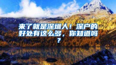 来了就是深圳人！深户的好处有这么多，你知道吗？