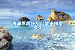 青浦区居转户档案审核要多久