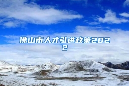 佛山市人才引进政策2022