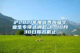 沪2021年度优秀应届毕业生专项选调启动，10月30日报名截止