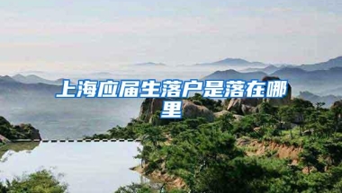 上海应届生落户是落在哪里