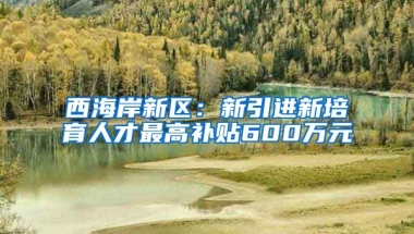 西海岸新区：新引进新培育人才最高补贴600万元