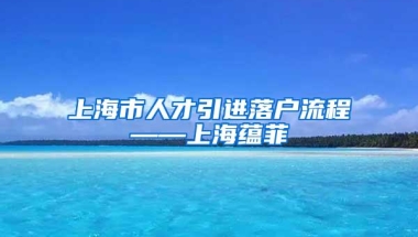 上海市人才引进落户流程——上海蕴菲