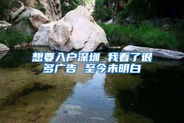 想要入户深圳 我看了很多广告 至今未明白