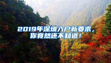 2019年深圳入户新要求，你竟然还不知道！