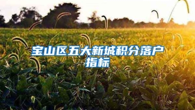 宝山区五大新城积分落户指标