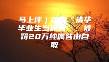 马上评｜虚构“清华毕业生当保姆”，被罚20万纯属咎由自取