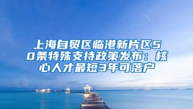 上海自贸区临港新片区50条特殊支持政策发布：核心人才最短3年可落户