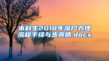 本科生2018年深户办理流程手续与步骤精.docx