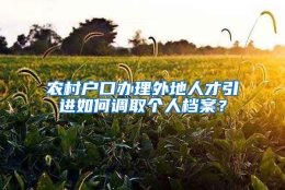 农村户口办理外地人才引进如何调取个人档案？