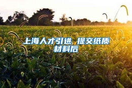 上海人才引进 提交纸质材料后