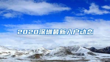 2020深圳最新入户动态