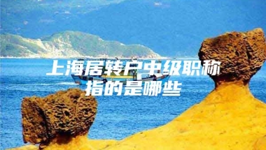 上海居转户中级职称指的是哪些