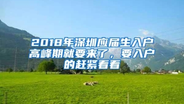 2018年深圳应届生入户高峰期就要来了，要入户的赶紧看看