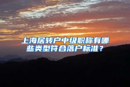 上海居转户中级职称有哪些类型符合落户标准？