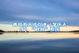 青岛市人才引进（学历人才）“秒批”系统