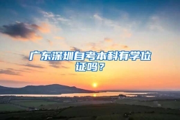 广东深圳自考本科有学位证吗？