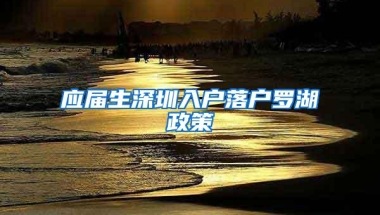 应届生深圳入户落户罗湖政策