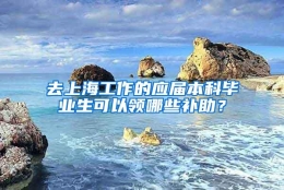 去上海工作的应届本科毕业生可以领哪些补助？