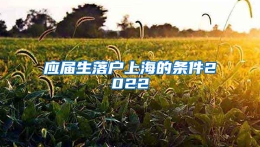 应届生落户上海的条件2022