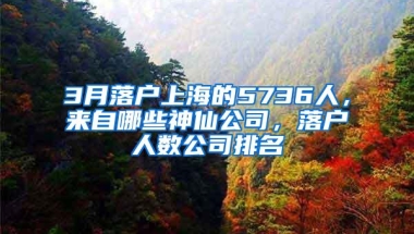 3月落户上海的5736人，来自哪些神仙公司，落户人数公司排名