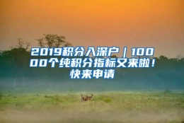 2019积分入深户｜10000个纯积分指标又来啦！快来申请