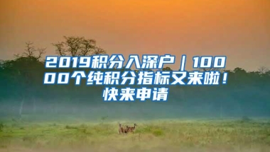 2019积分入深户｜10000个纯积分指标又来啦！快来申请