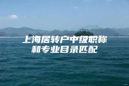 上海居转户中级职称和专业目录匹配