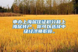 申办上海居住证积分和上海居转户，你可以选择中级经济师职称。